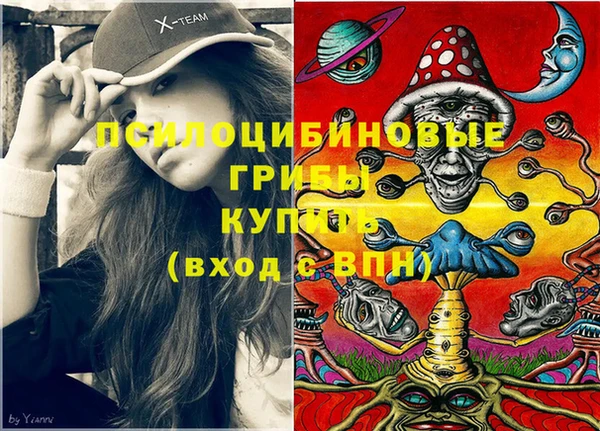 мяу мяу мука Беломорск
