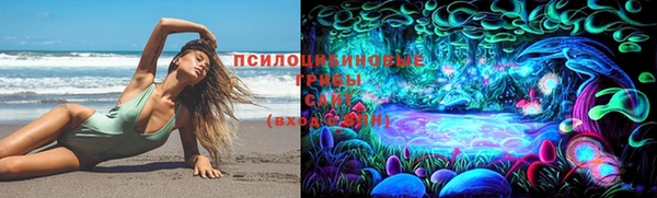 каннабис Белокуриха